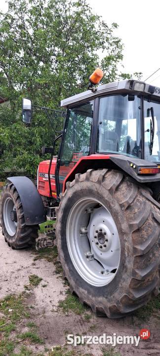 Sprzedam ciągnik Massey ferguson 6150 Massey Ferguson Słupca