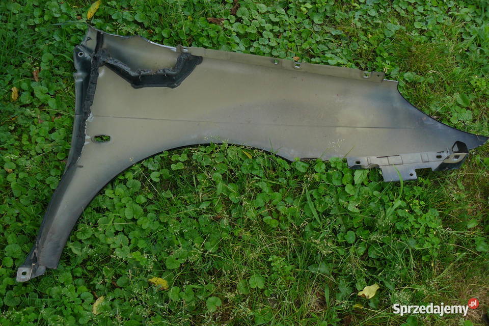 Citroen C5 przedni lewy blotnik Rzeszów