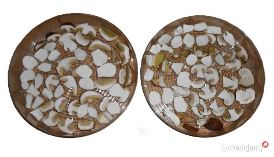 suszone grzyby prawdziwek