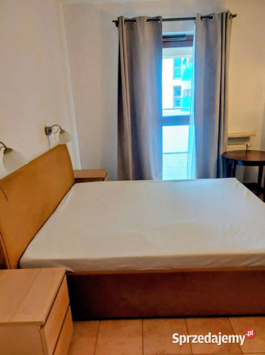 wynajmę bezpośrednio Ewen Shiraz 57 m 2 pokoje Wynajem Warszawa