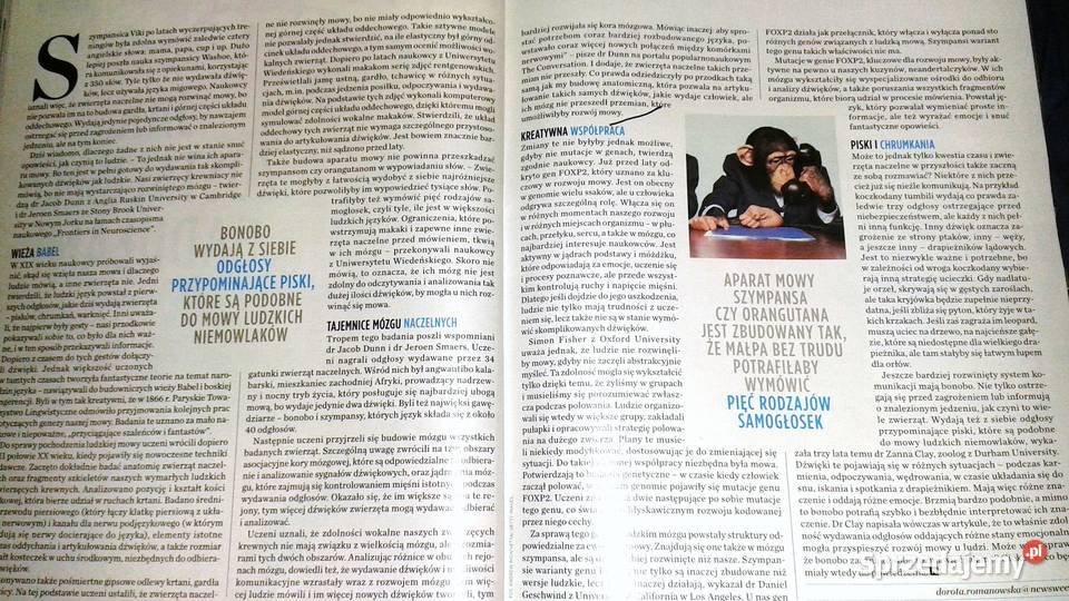 Newsweek Polska 37 2018 Chełm