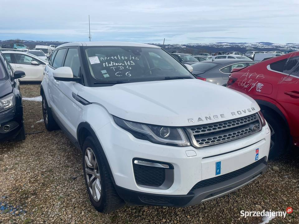 LAND ROVER Range Rover Evoque 20 TD4 150 4WD Kielce