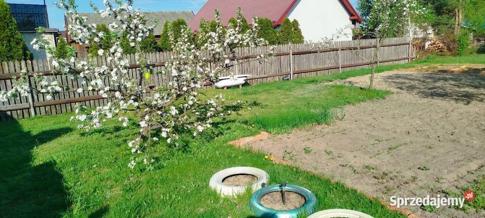 Działki z lasem i budowlana sprzedam