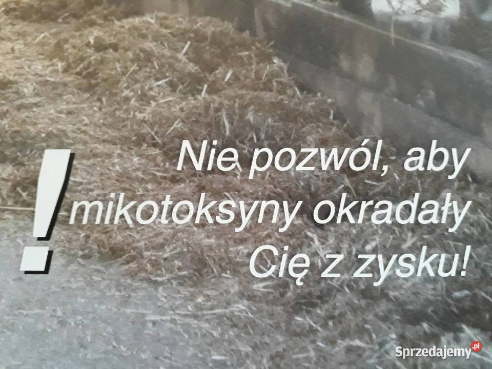 Mycofix Select 3E preparat na mykotoksyny w Karma i Pasza wielkopolskie Strzelce Wielkie