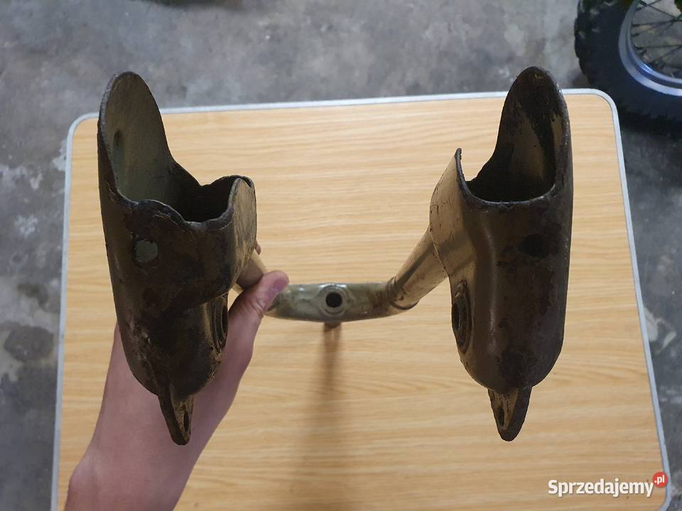 Widelce śląskie Jaworzno