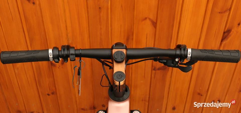 Rower elektryczny Riese Muller UBN 5 D 50 mazowieckie Milanówek sprzedam