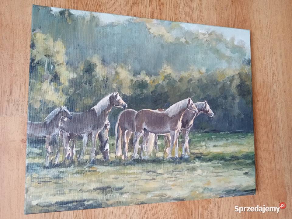 Obraz na płótnie 40x50 konie podkarpackie Przeworsk