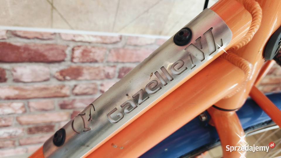 Rower Gazelle Miss Grace solidna holenderka
