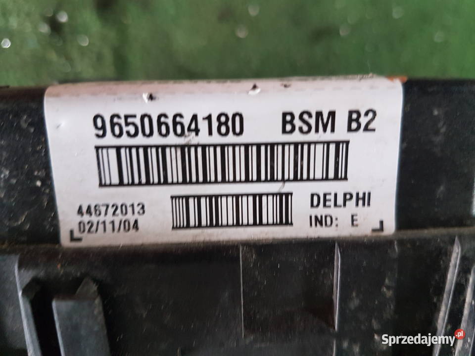 PEUGEOT 206 306 MODUL BSMB2 BSM B2 9650664180 Rok produkcji 2005 Turek sprzedam