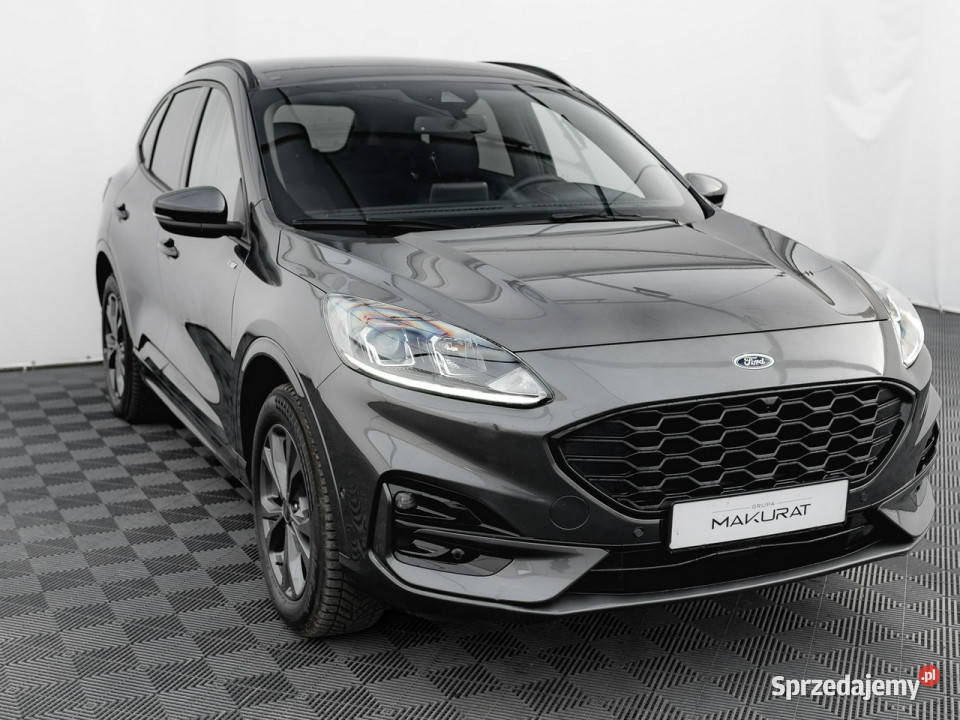 Ford Kuga PY8139525P PHEV FWD STLine Podgrzf Gdańsk