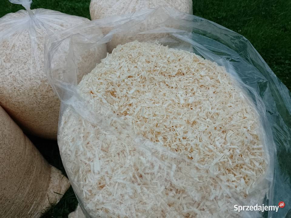 Trociny gryzoni STOLARZA 40L suche odpylone małopolskie Andrychów