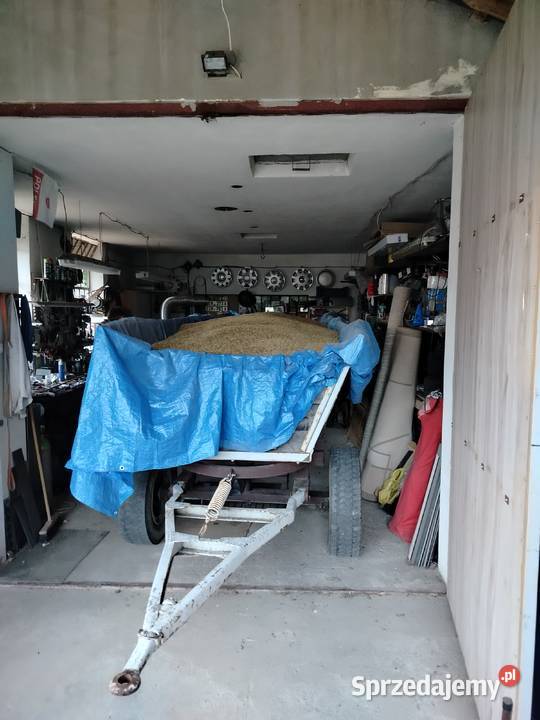 Owies możliwość transportu Mielec