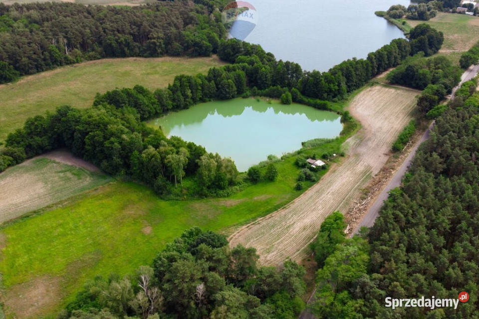 Działka jeziorze Pniew 155m Buszewo