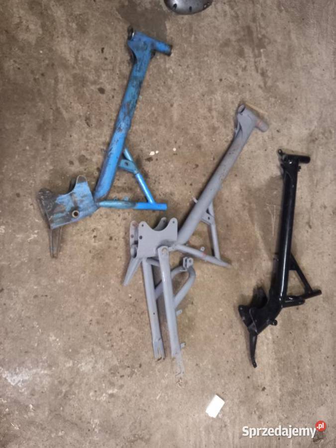 Rama zak ryś mazowieckie Sokołów Podlaski