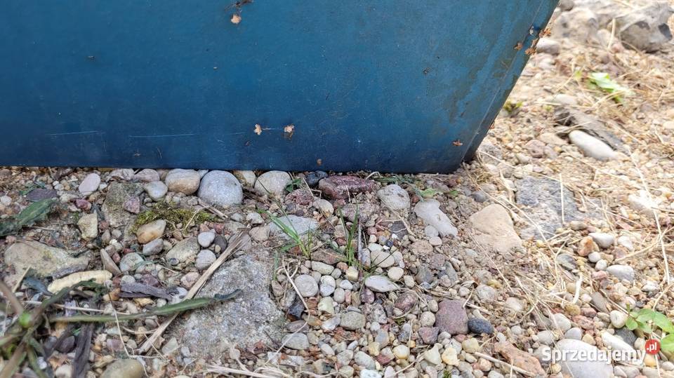 Drzwi Fiat Punto I Łagów