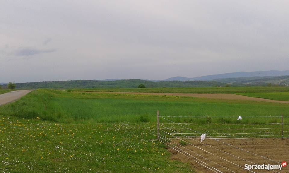 Do sprzedania dom w zacisznym miejscu blacha Żeglce