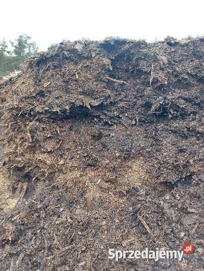 kora zanieczyszczona Podłoża Krzepice