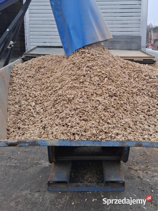 ZRĘBKA OPAŁOWA Brzeźno