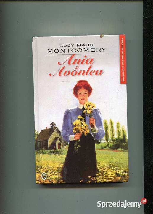 Ania z Avonlea Montgomery Szczecin