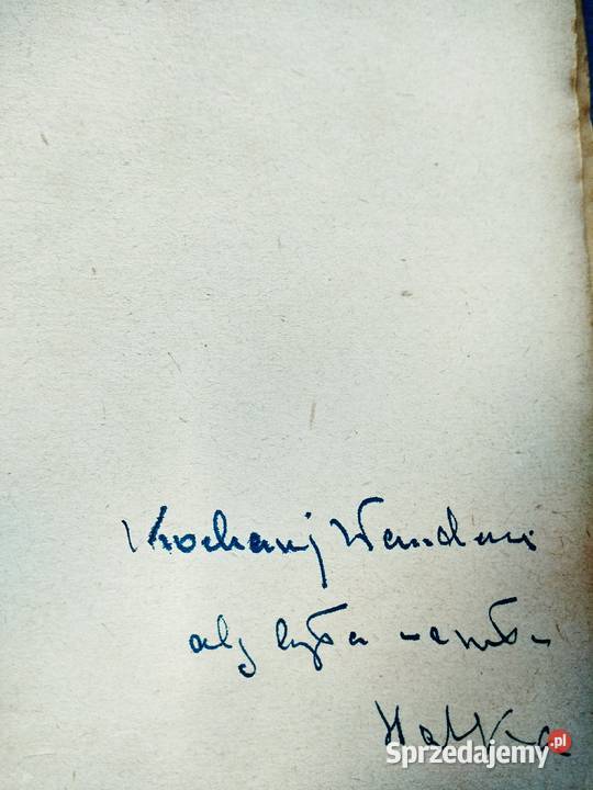 Wesoła Walencja Ibanez literatura hiszpańska Warszawa