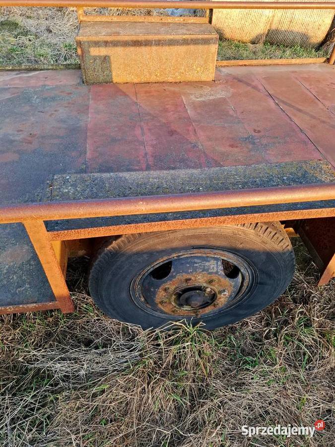 Dłużyca nieuszkodzony Radłowo sprzedam