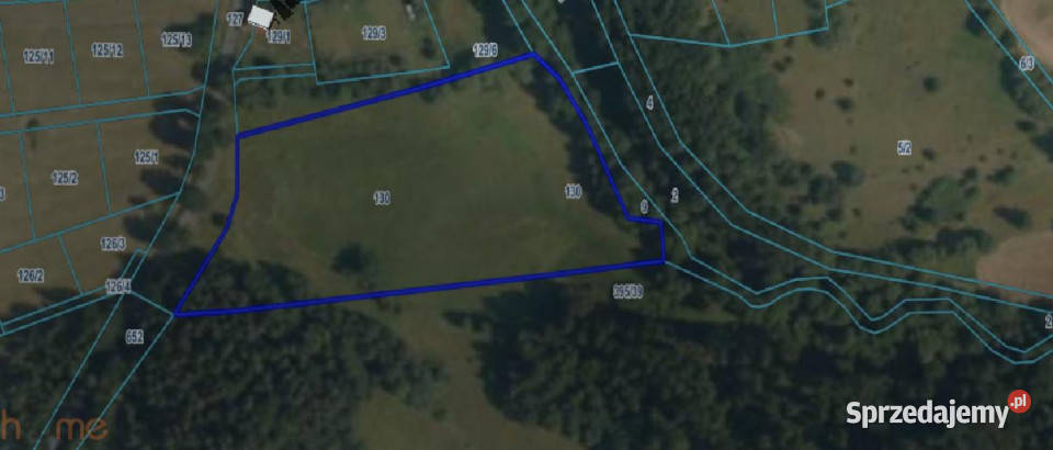 Grunt 18091m2 Wilcza