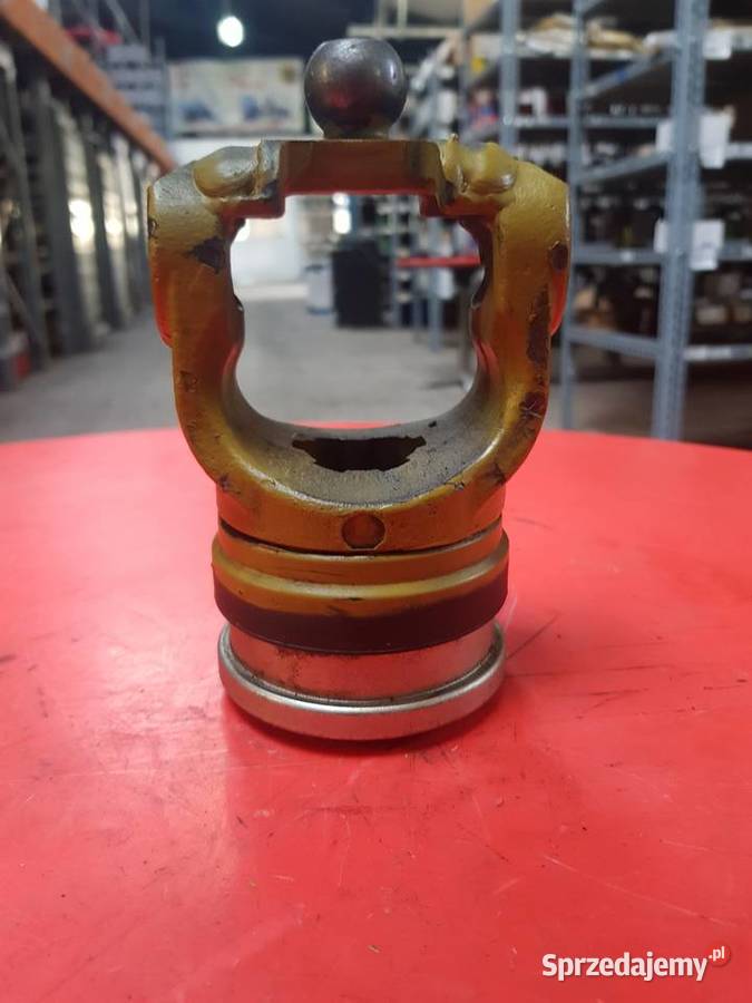 Widłak przegubu szerokokątnego Sulechów sprzedam