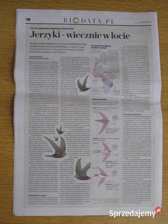 Ekonomia 38 Gazeta Wyborcza lubelskie