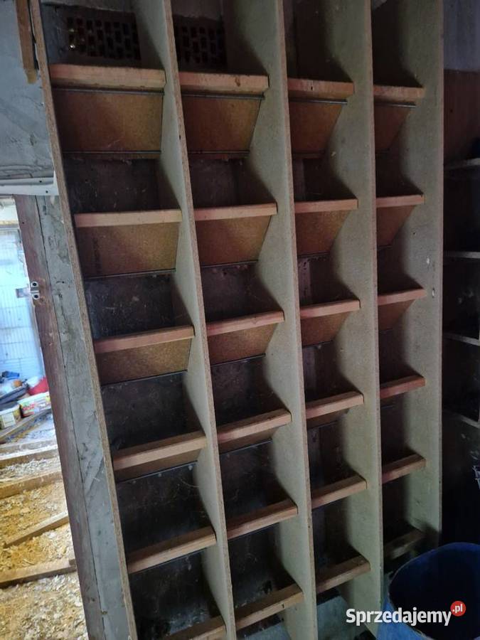 regał gołębi Oława