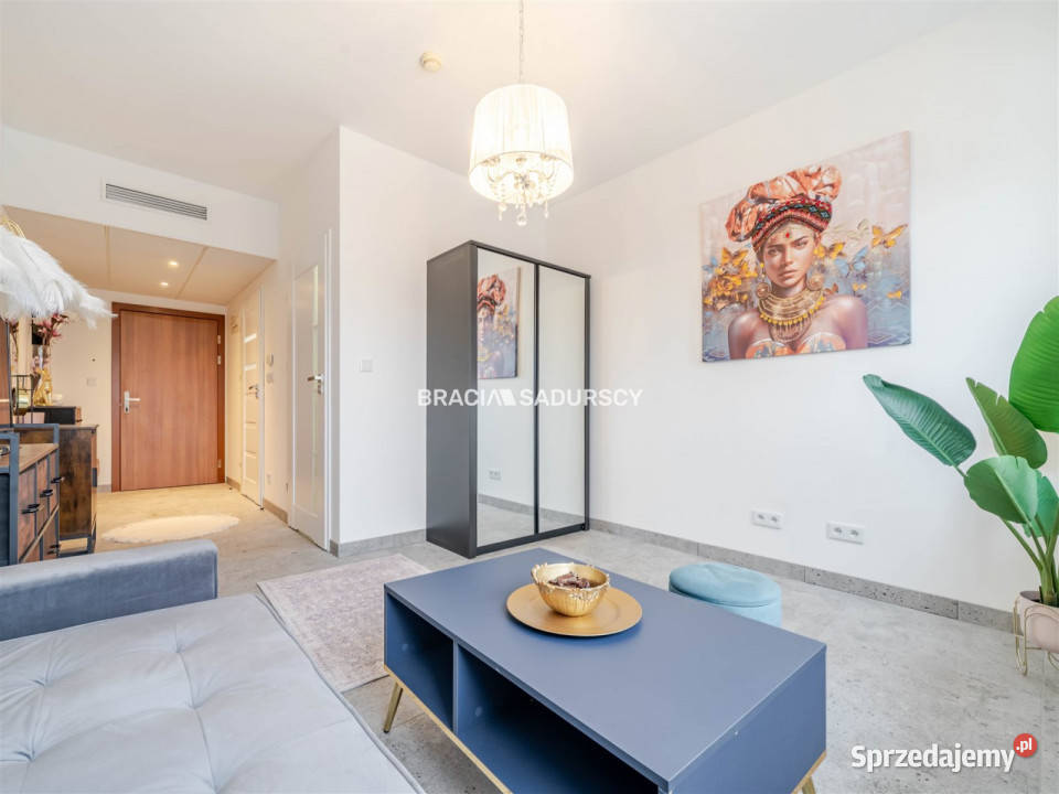 Mieszkanie 226m2 1pokojowe Kraków