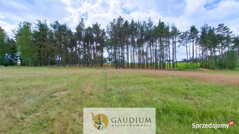 DUŻA DZIAŁKA ROLNA Z LASEM MĘCIKAŁ gm Brusy utwardzona Męcikał