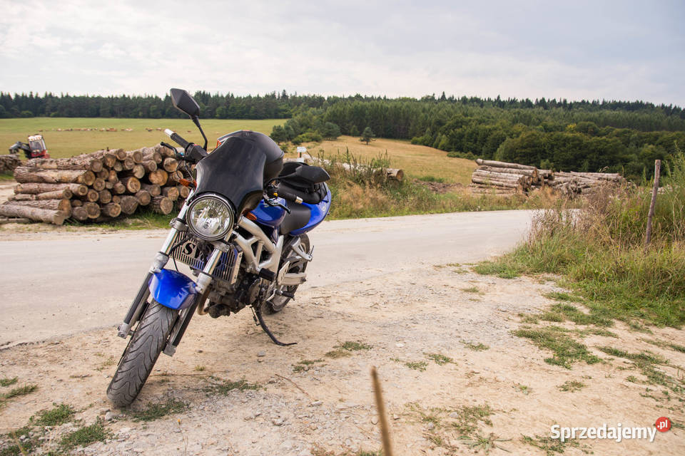 suzuki sv 650n 2002r naked Skowarcz