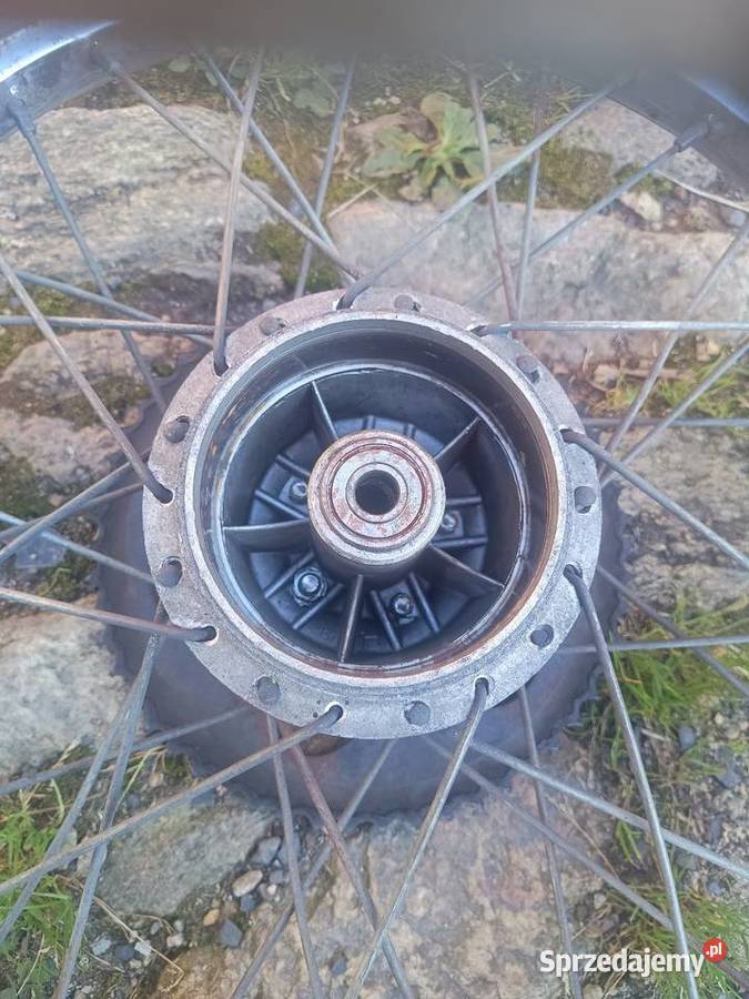 Romet ogar koło 17 dolnośląskie Leśna