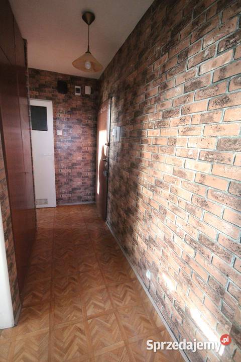 2pok 38met Zaułku Browarnego PIWNICAWINDA dolnośląskie Wrocław sprzedam