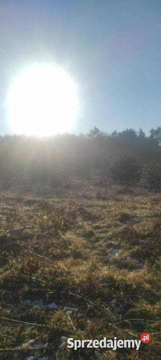 JUSZOWICE gmina Rudna KLIMATYCZNA DZIAŁKA z MPZP