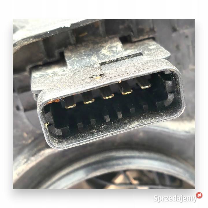 LAMPA PRAWA Renault Scenic III 1316r LIFT lubelskie