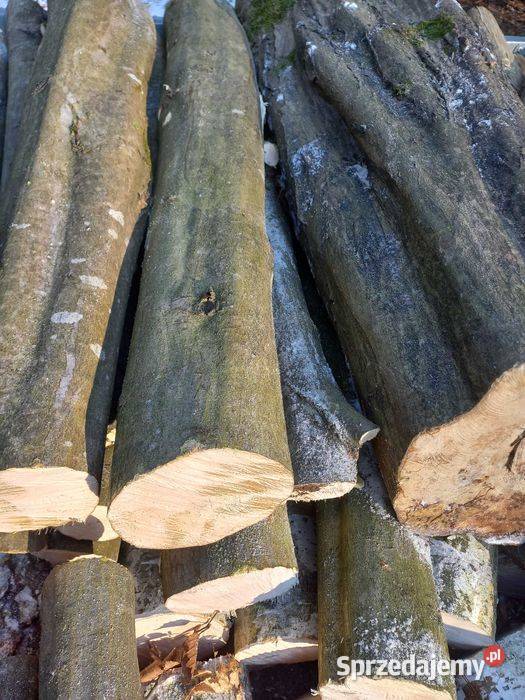 Drewno kominkowe opałowe brzoza Ropczyce