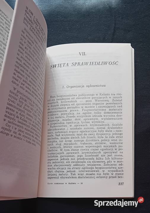 Władysław Rusiński Życie codzienne w Kaliszu w Antykwariat Koźminek