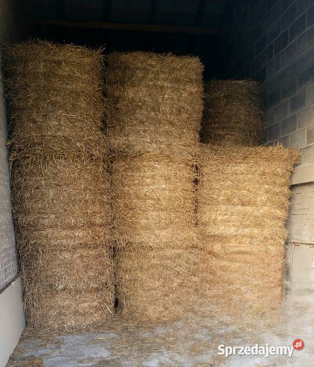 Sprzedam słomę sezon 2025 Skierniewice sprzedam