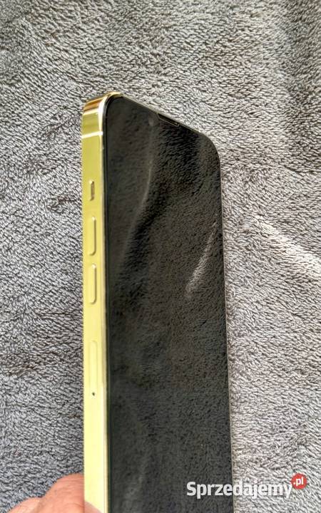 iPhone 13 Pro 256 GB 4 Etui z Logo Apple Działdowo