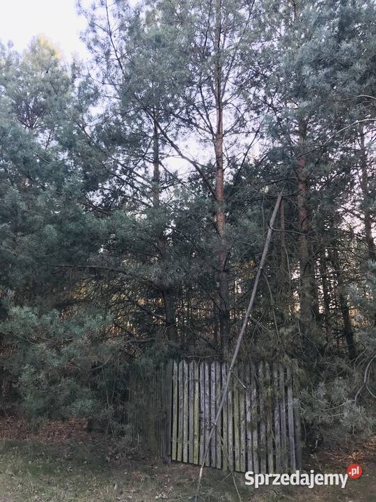 Działka Borowiec 1341 m2 Piaseczyński Tarczyn 135zł/m2 mazowieckie