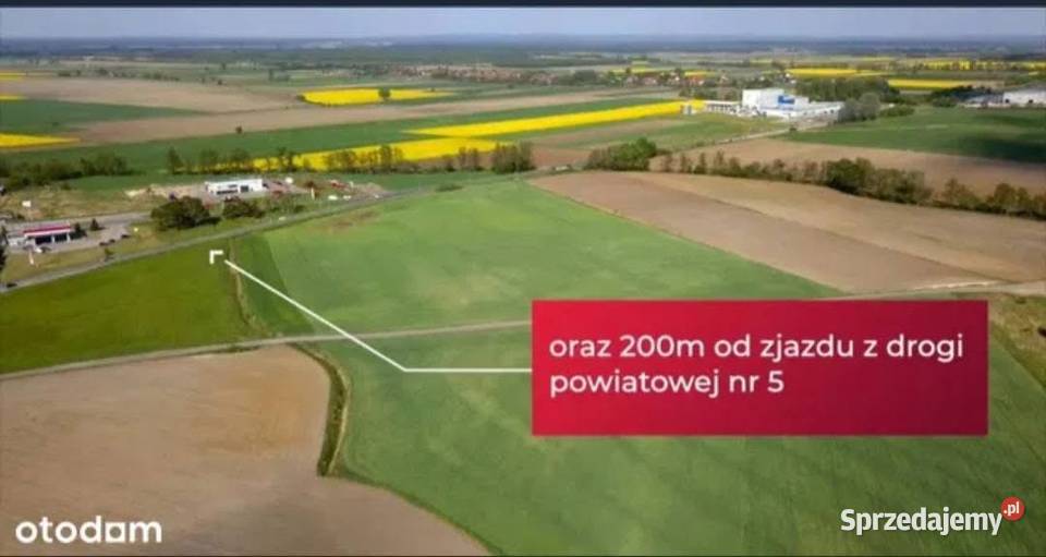 Działka Przemysłowo Usługowa Prusice woj sprzedam