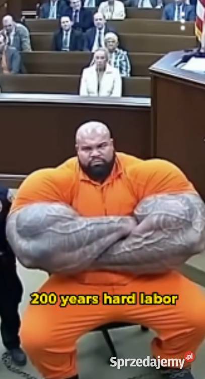 pasza do tuczenia siwn Stolec sprzedam