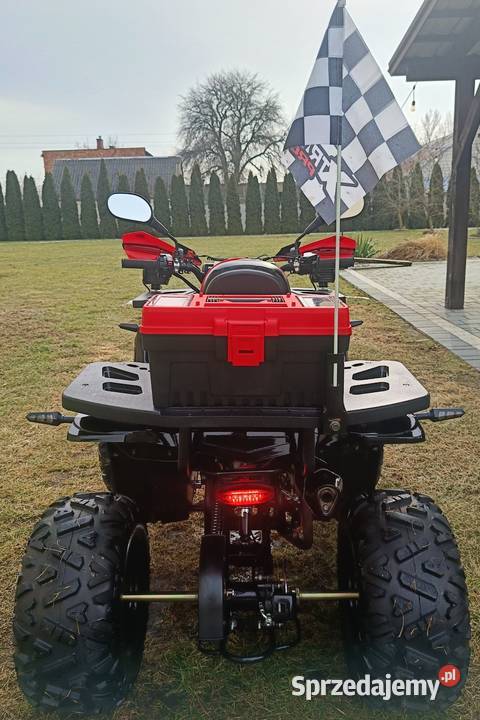 Quad 125 11 NOWY