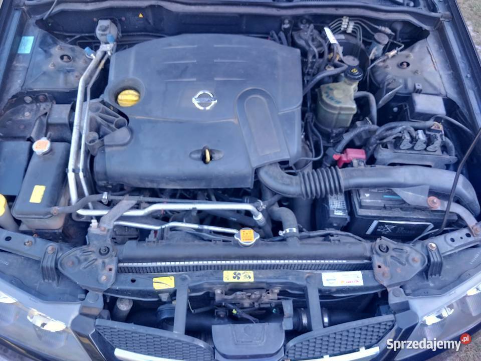 Nissan Almera Podlodówka