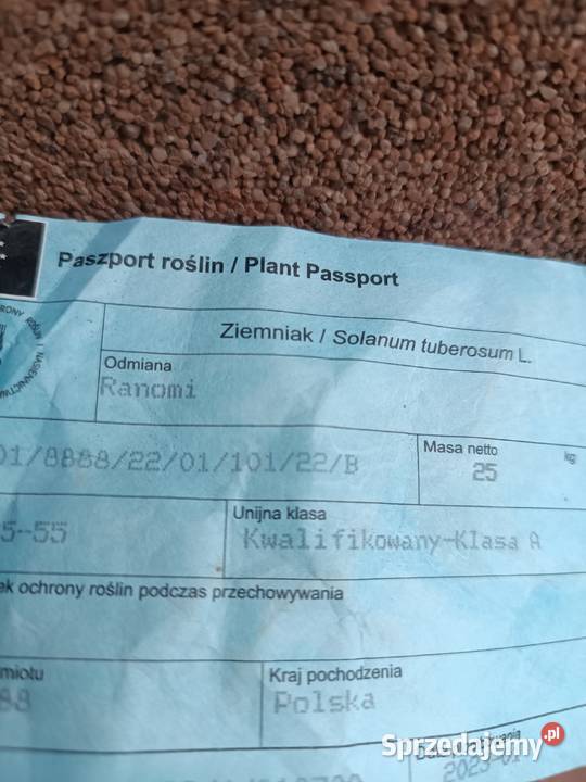 Sprzedam ziemniaki Ranomi Mirella Rośliny okopowe podkarpackie