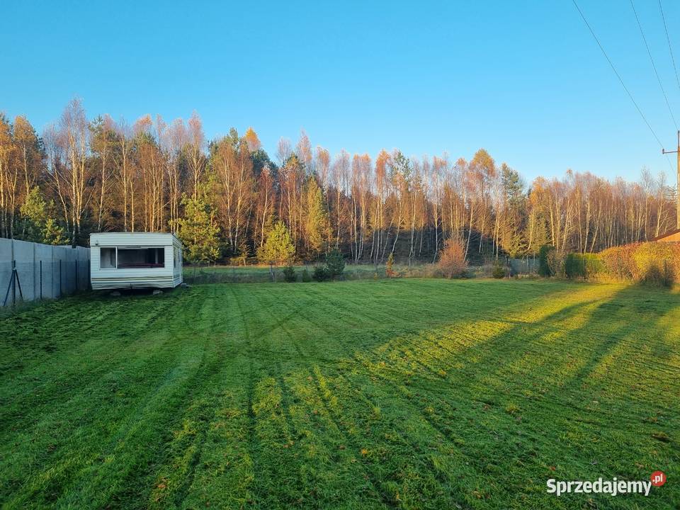 Działka Domatówko z WZ lesie