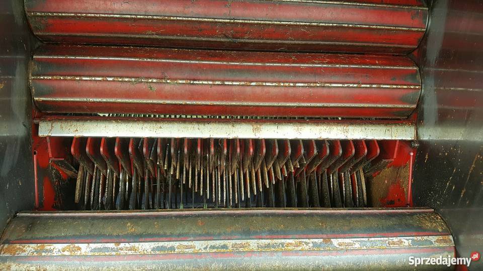 Prasa Welger RP 245 nowa mały przebieg Rolujące (belujące) Ostrów Mazowiecka