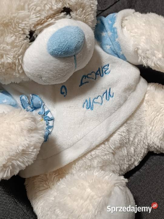 miś pluszowa zabawka maskotka pluszak z napisem Poznań