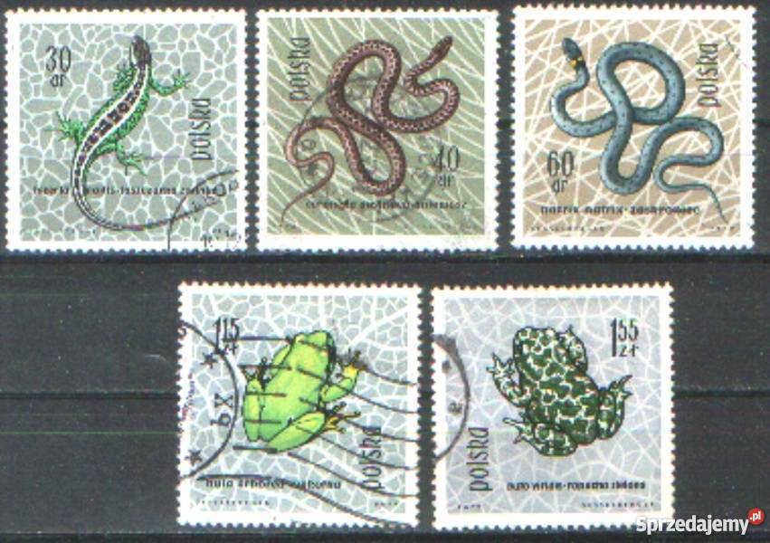 Zn Fi 1245 6 8 50 3 kas 1963 Gliwice sprzedam